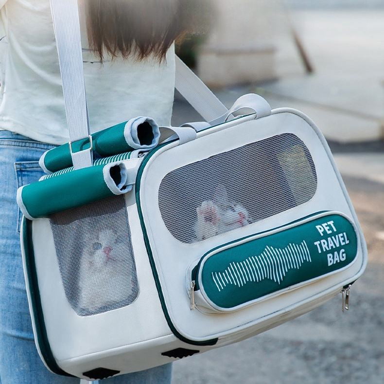 Sac de transport pour animaux de compagnie, souple, pliable, portable, pour chiens et chats, approuvé par les compagnies aériennes, souple, pliable, pour chiots, adapté