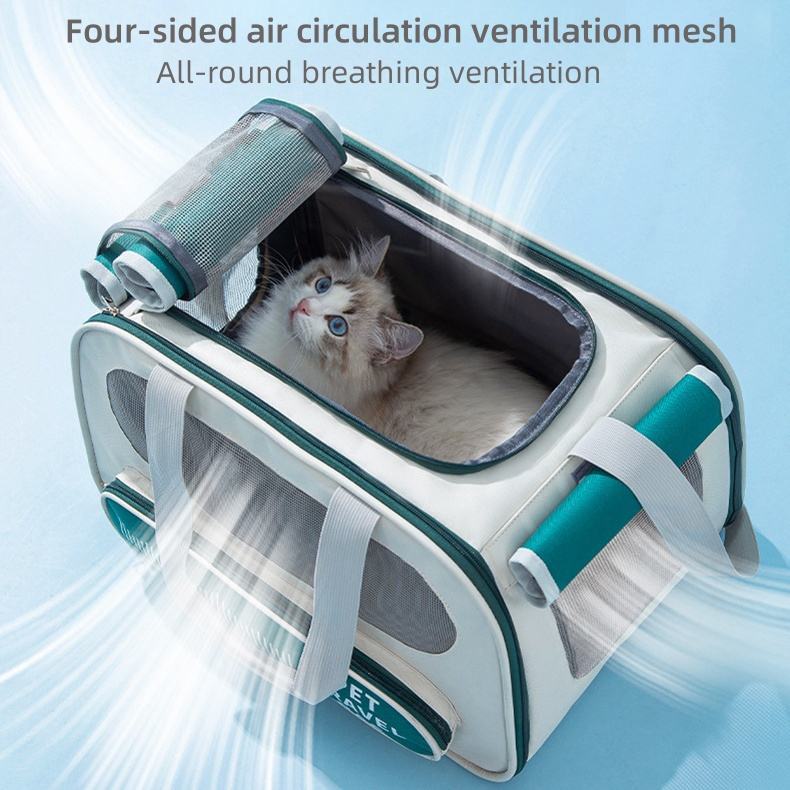 Sac de transport pour animaux de compagnie, souple, pliable, portable, pour chiens et chats, approuvé par les compagnies aériennes, souple, pliable, pour chiots, adapté